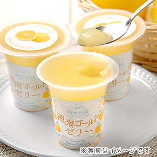 湘南ゴールドゼリー