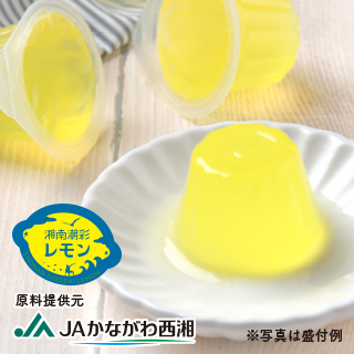 湘南レモンゼリー